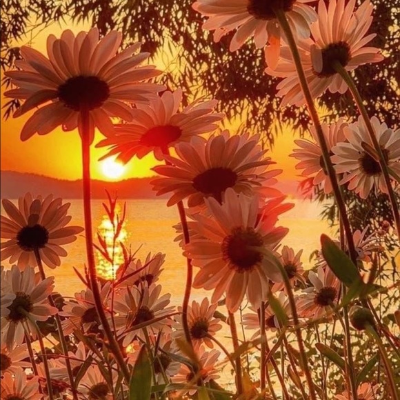 ((( MEET YOUR SELLER/BUYER ))) - Picture 5 of 12